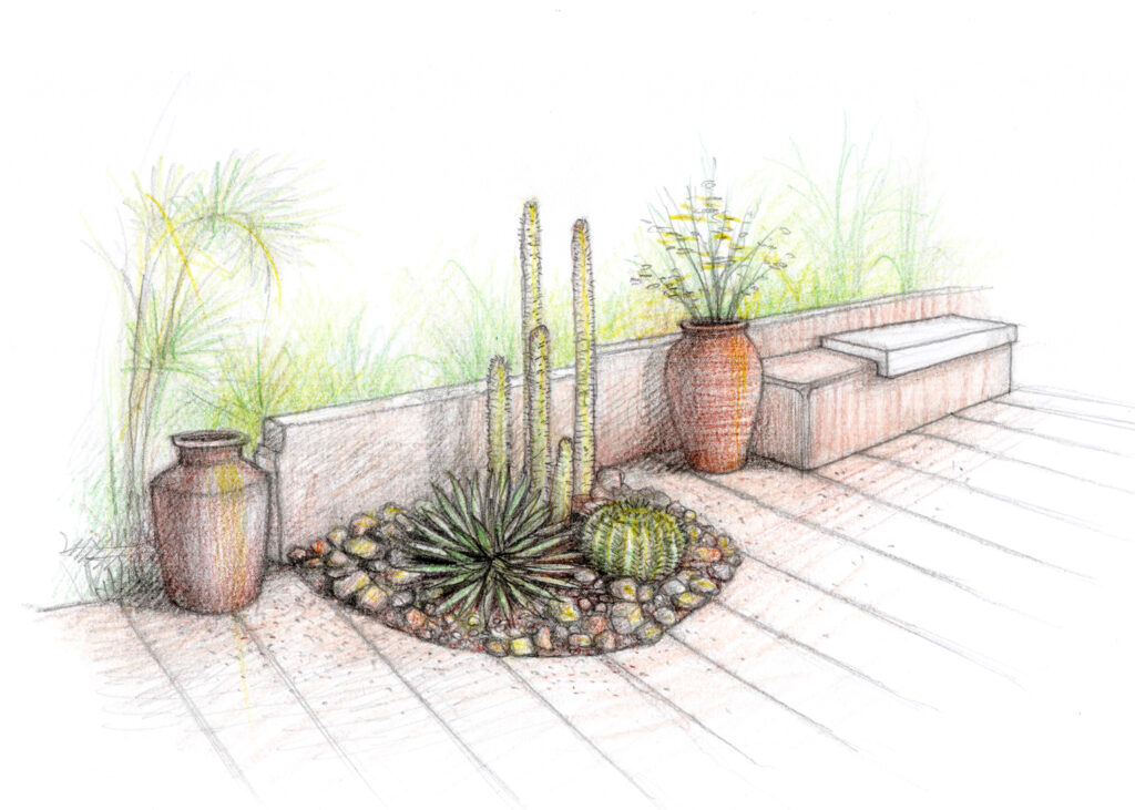 xeriscape design sketch