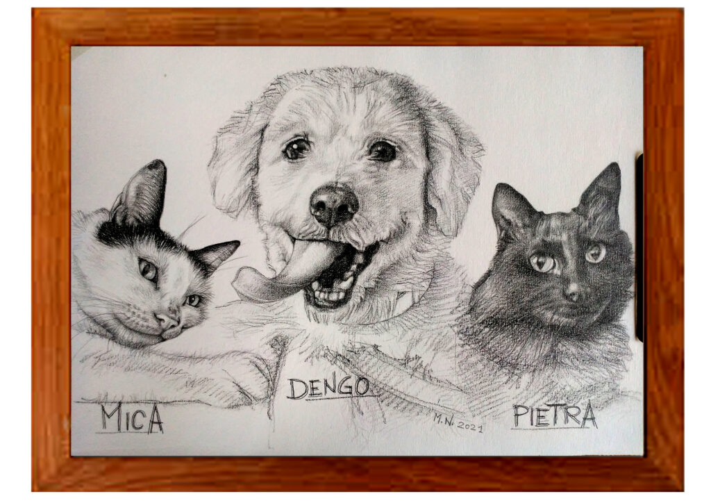 Retrato de animais - cachorro